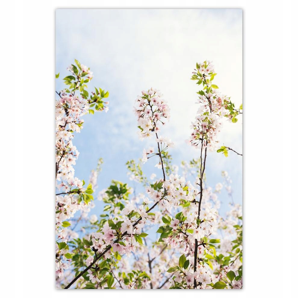 

Plakat 62x93 Kwiatki Kwiaty Kwiatuszki