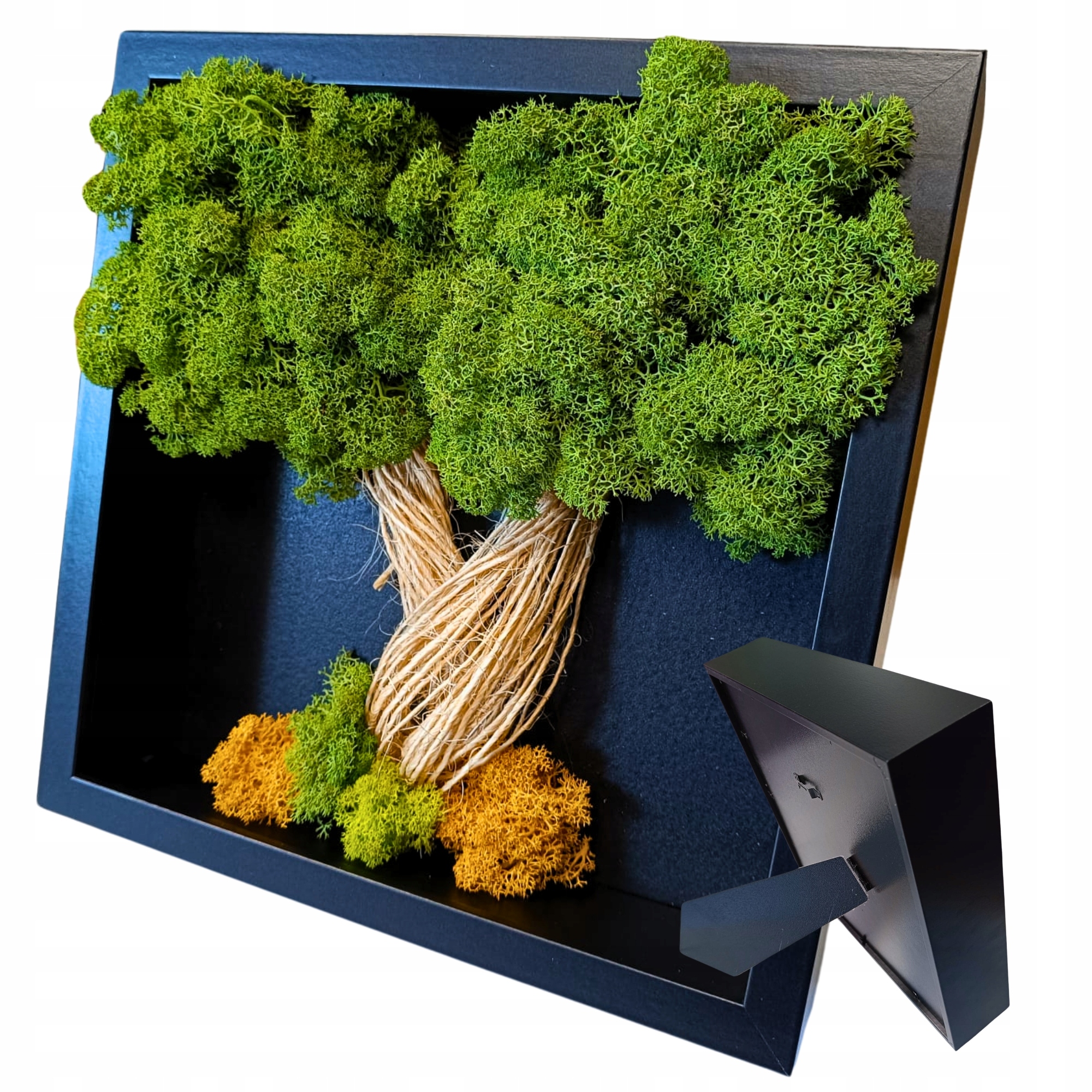 Obraz Z Mechu mech sobí chrobotek Strom Štěstí 26x26 Živý Obraz