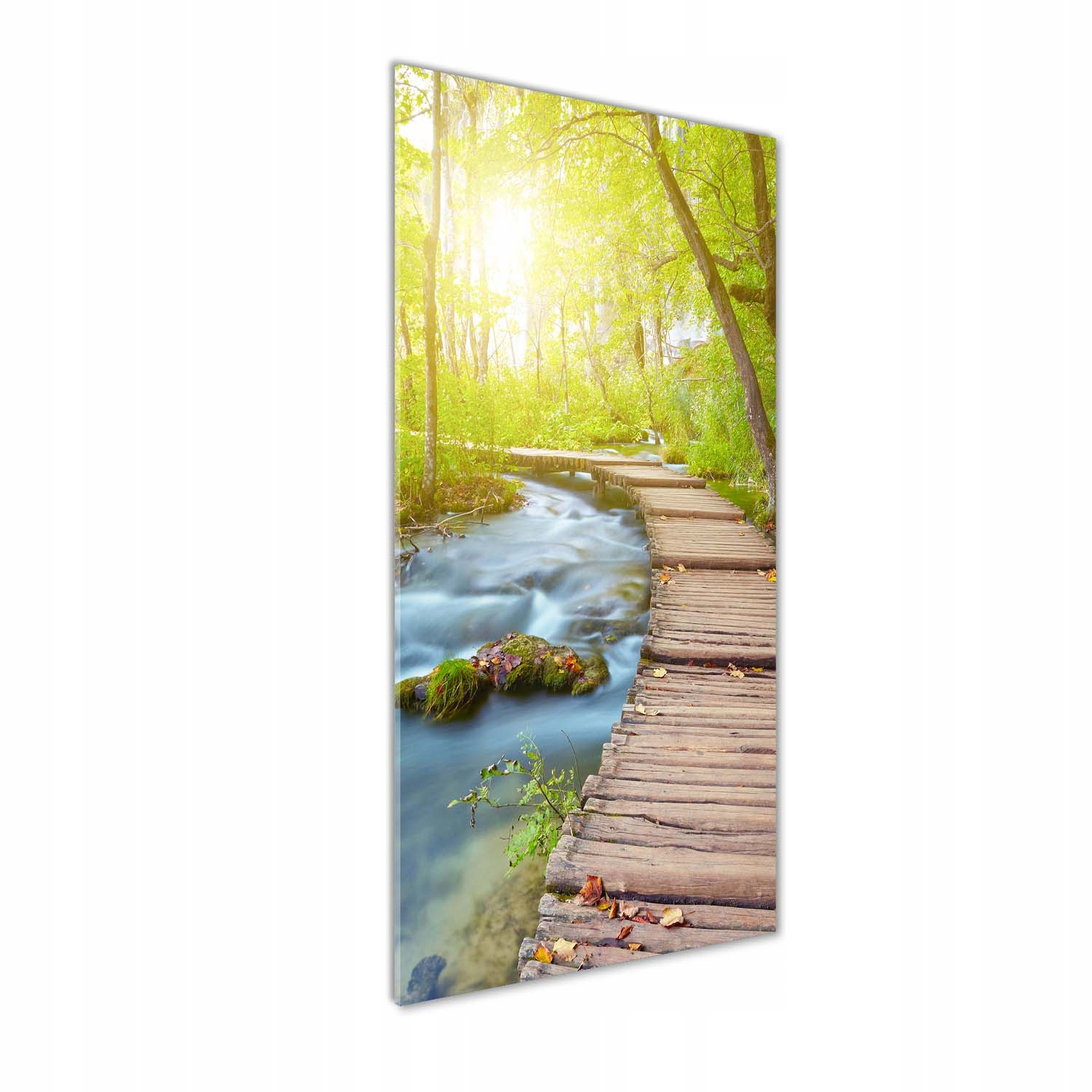 

Foto obraz szkło akrylowe Ścieżka w lesie 50x125cm