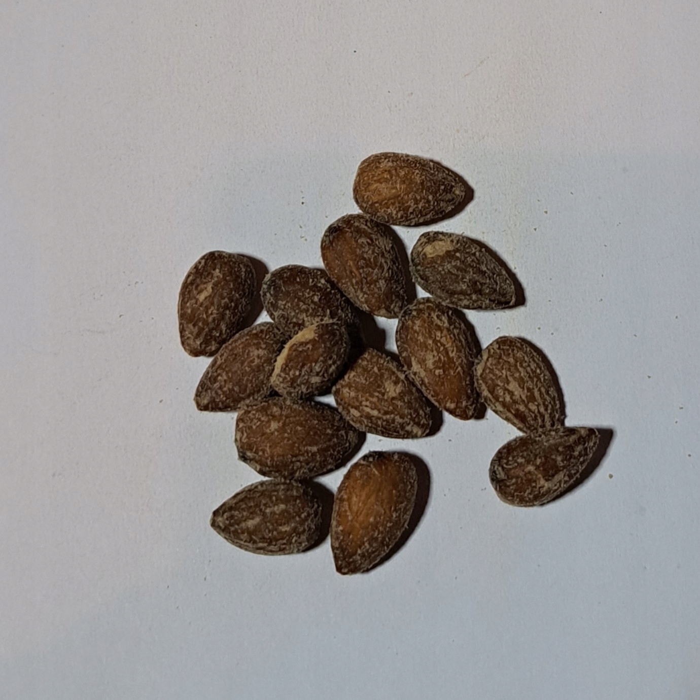 Levně Kalifornská mandle pražená uzená 1 kg Rafex