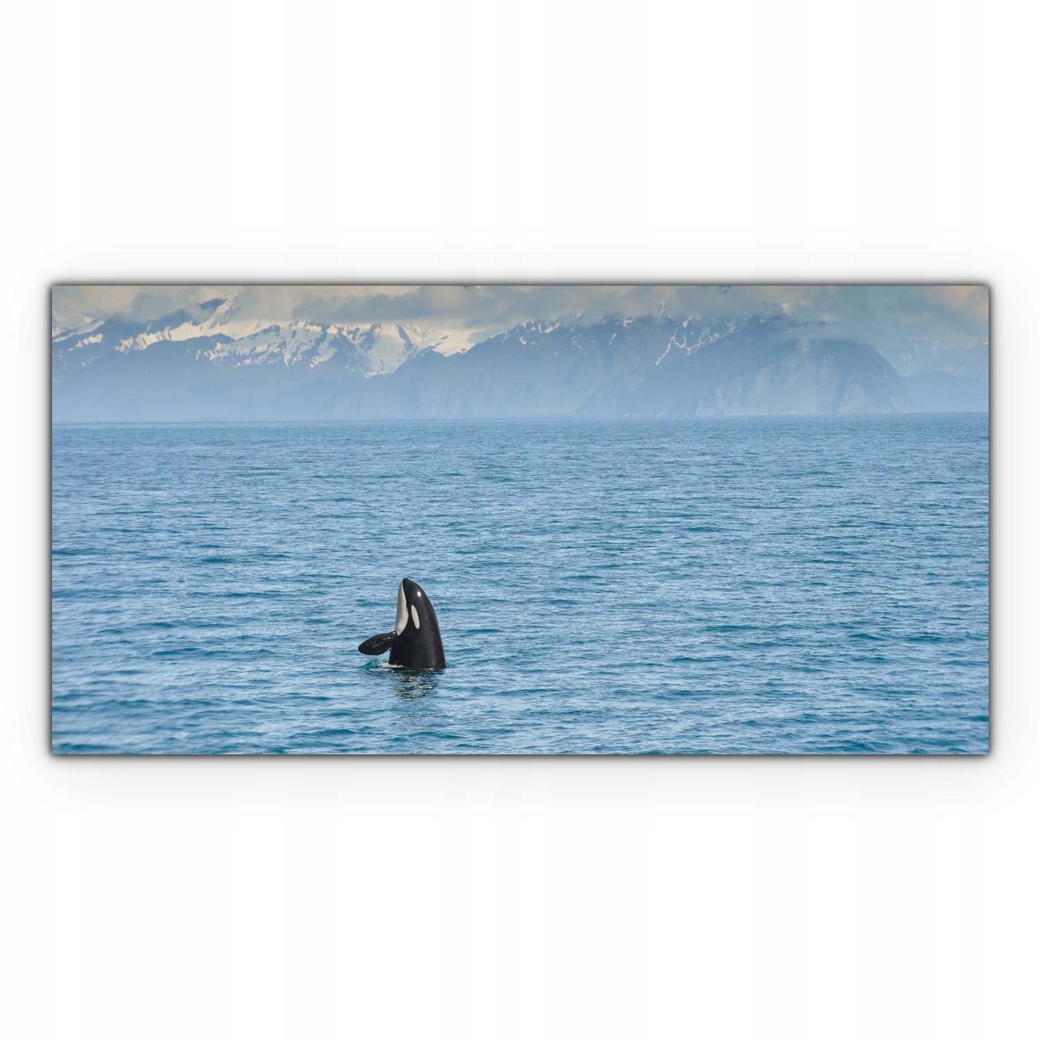 

foto-obraz na płótnie 120x60 Ocean Wieloryb Morze