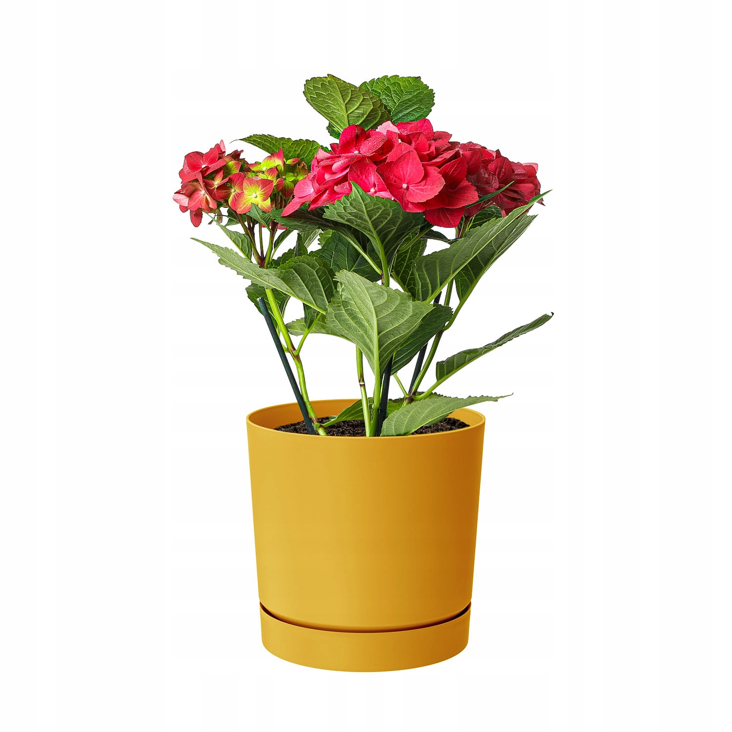 Doniczka na kwiaty Donica okrągła Tubo P Musztarda