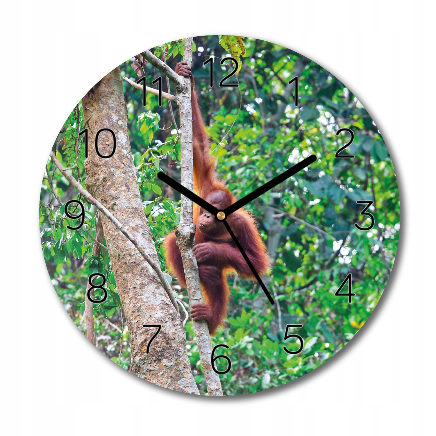 hodiny na skle Orangutan les strom tichý fi 30