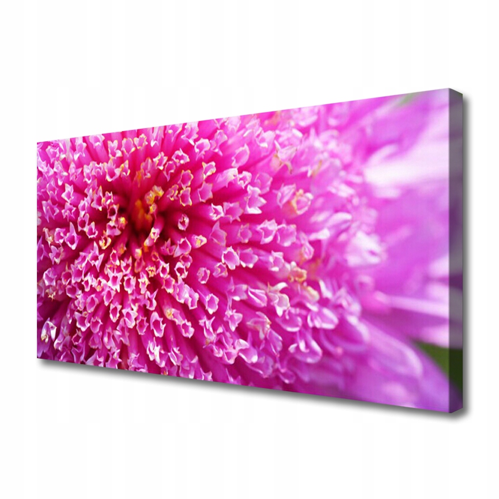 Obraz na zeď Canvas Květina na zeď 140x70