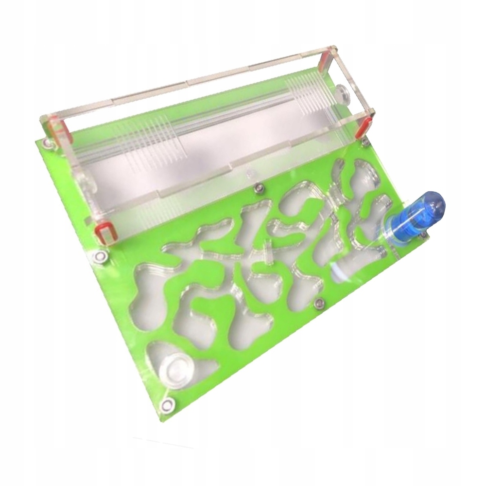 Formikarium Zielone Akrylowe L hodowla mrówki AntHunter