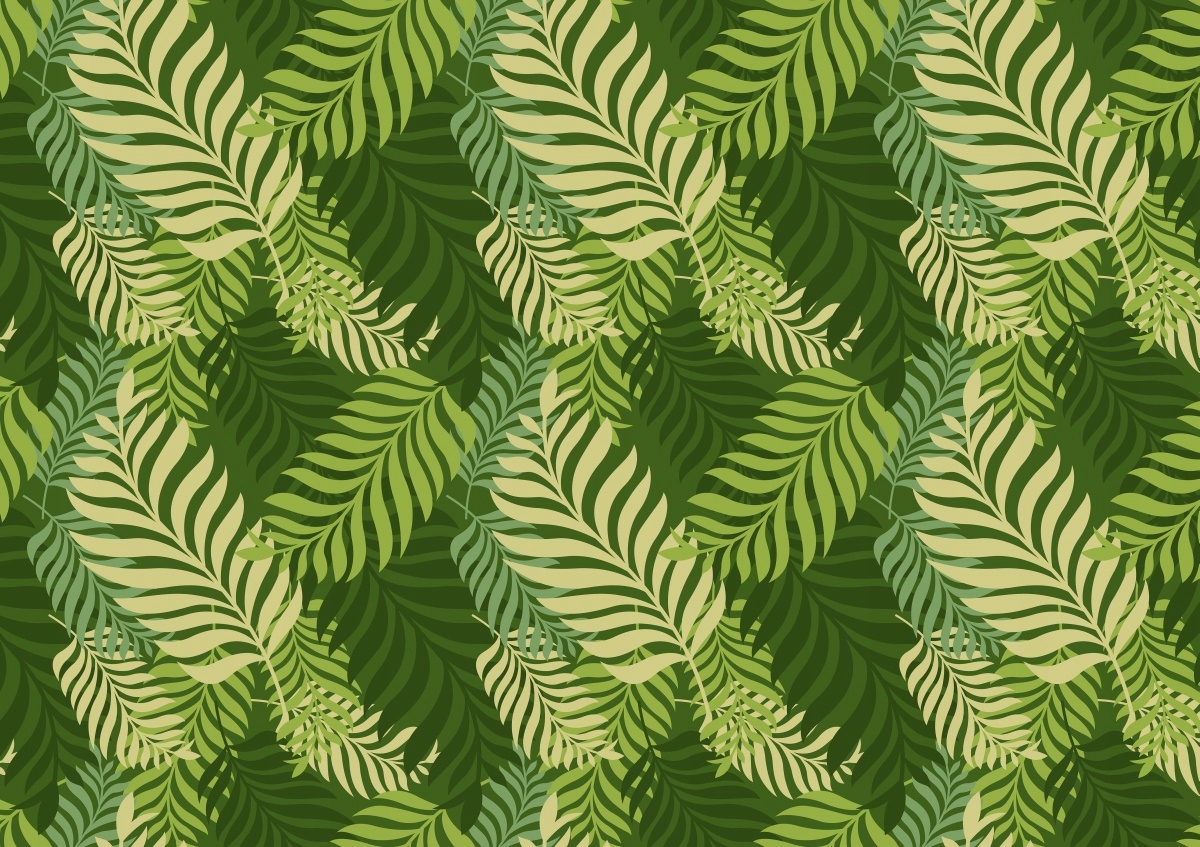 

Fototapeta Flizelina Liście palmowe 208x146