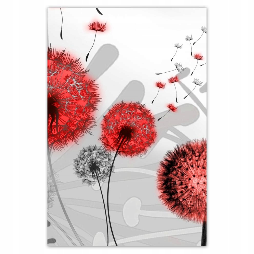 

Plakaty 40x60 Czerwone dmuchawce