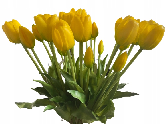 

Tulipan Tulipany Silikonowe Bukiet gumowe