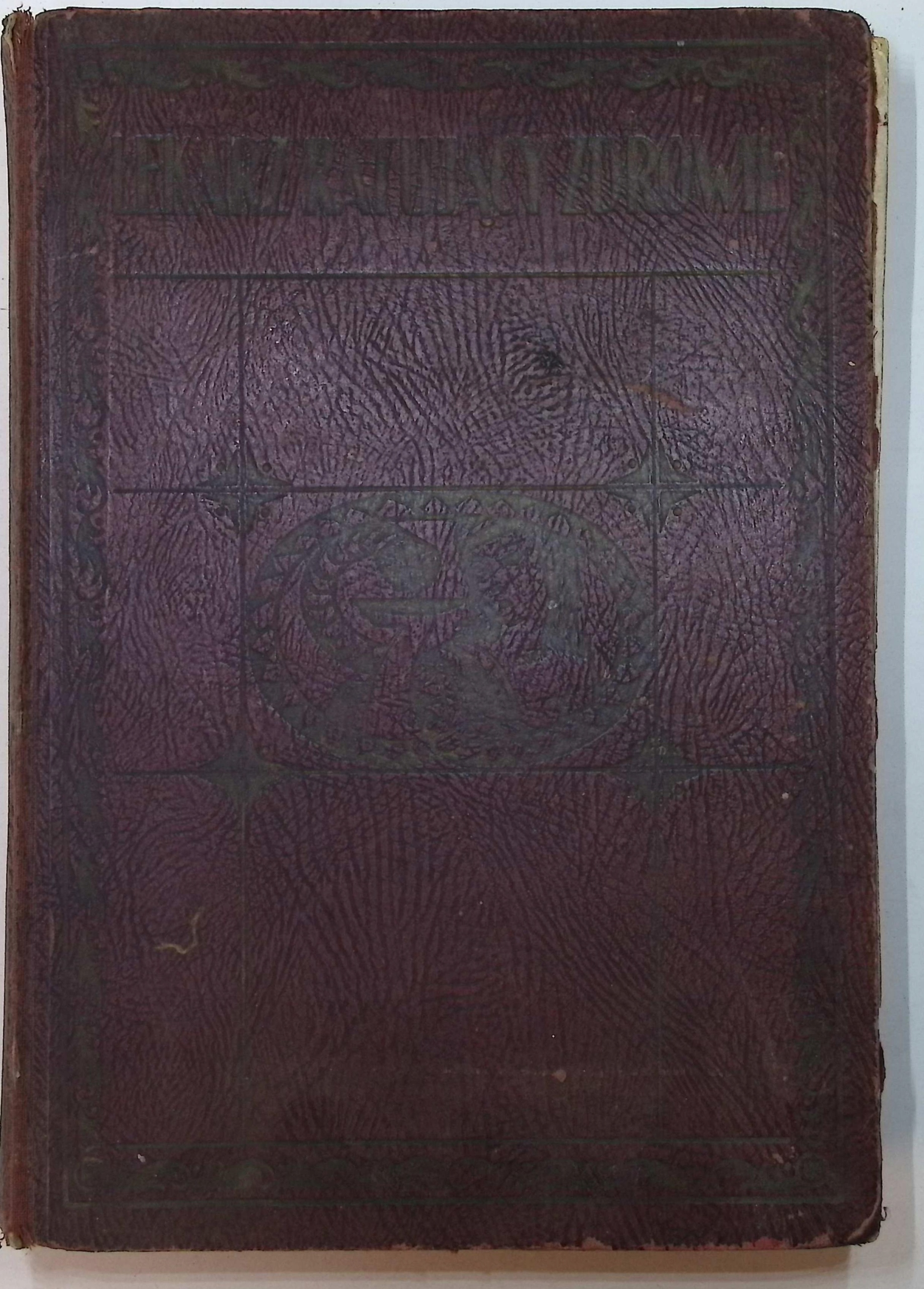 Lekarz ratujący zdrowie. T. II (1930 r.) - Springer