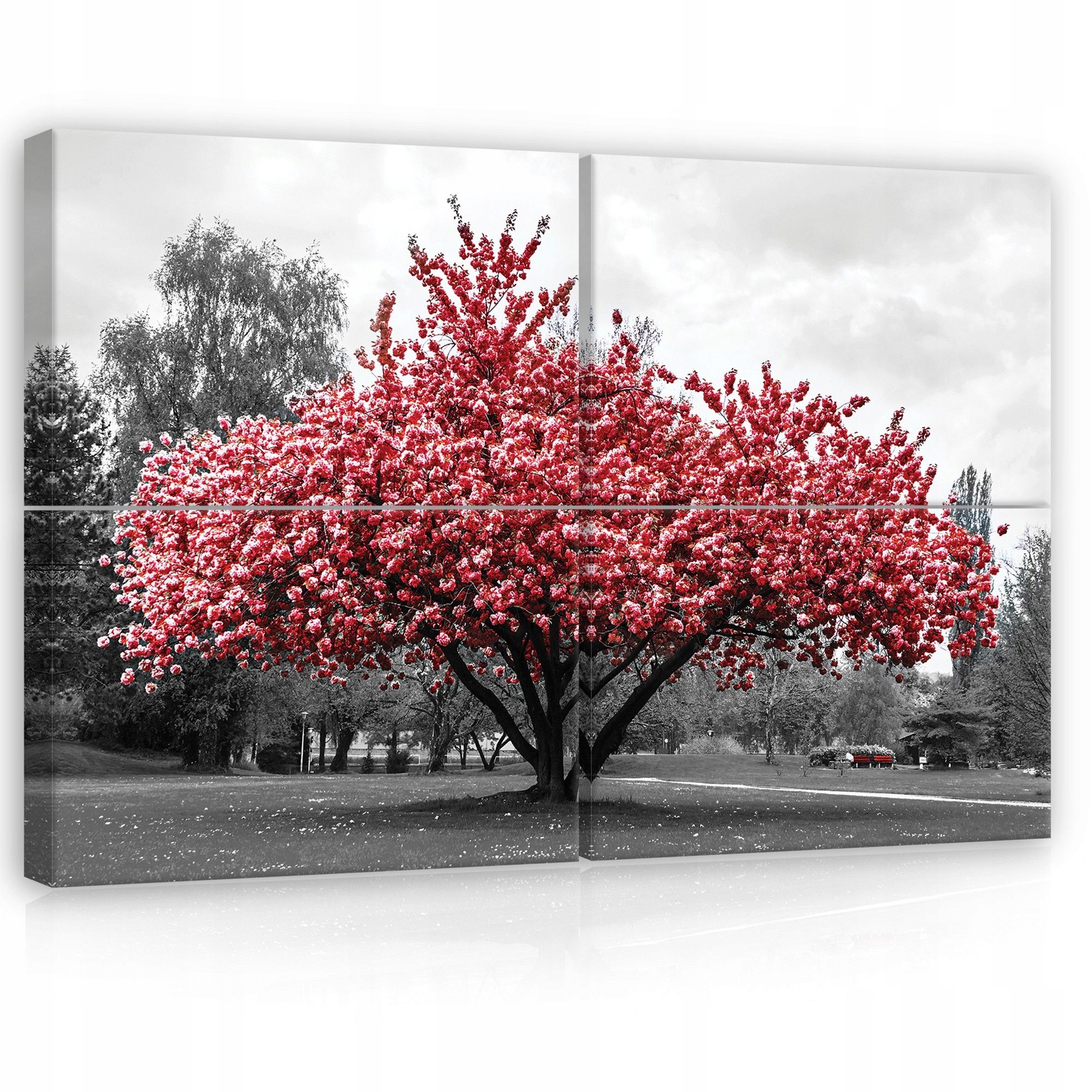 Obraz 120x80 Kvitnúci strom kvitnutie jar sakura park príroda