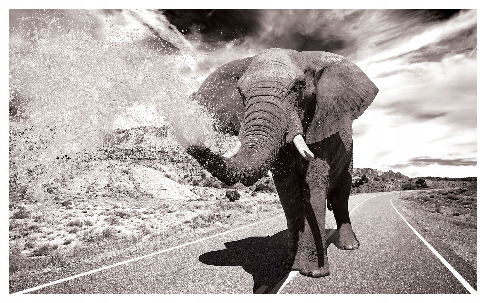 Fototapeta flizelina Slon africký na pozadí savany krajina 208x146 lepidlo