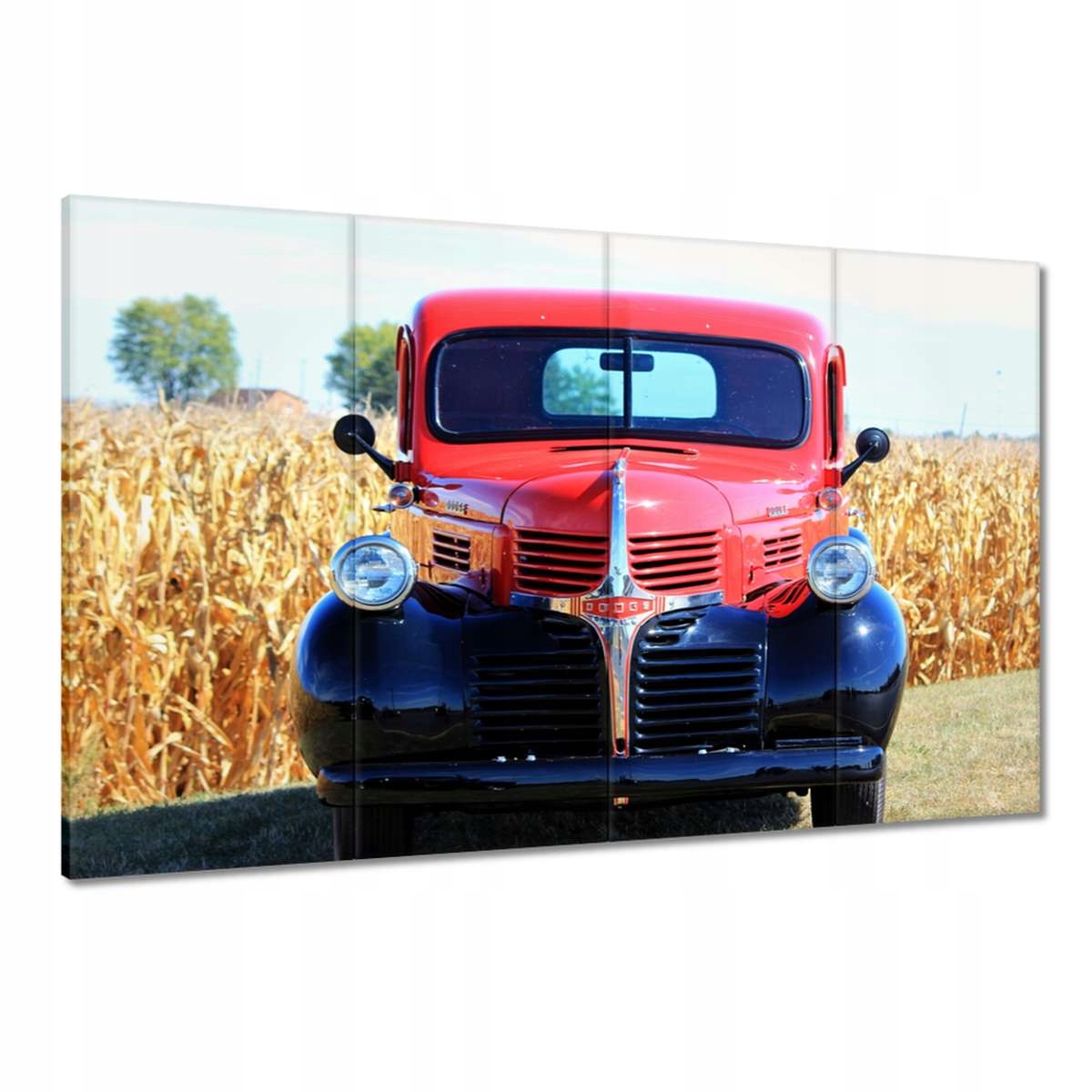 Obrazy 120x80 Ford auto