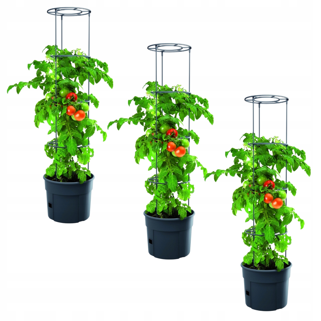 3x Doniczka Osłonka Do Uprawy Pomidorów Roślin Zestaw 12L Planter 115 CM