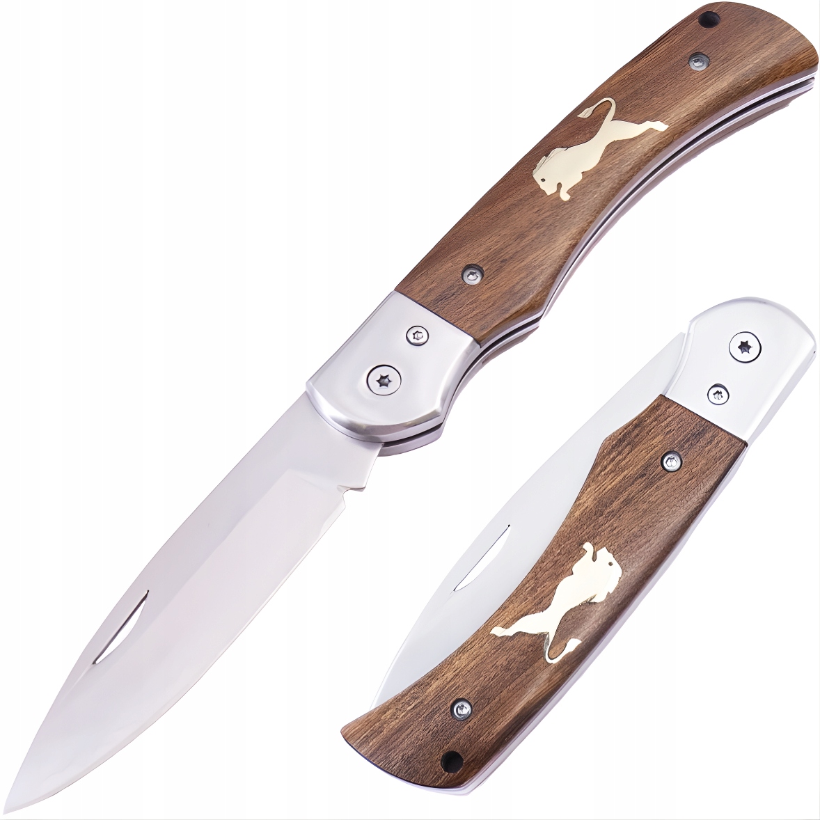 Składany nóż outdoorowy WG752 Brązowy KP-39531