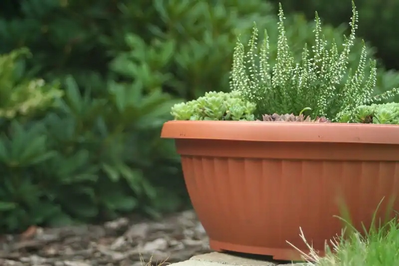 Doniczka Misa Terra 30 Cm Terakota Dmt30-R624 Prosperplast Marka Prosperplast