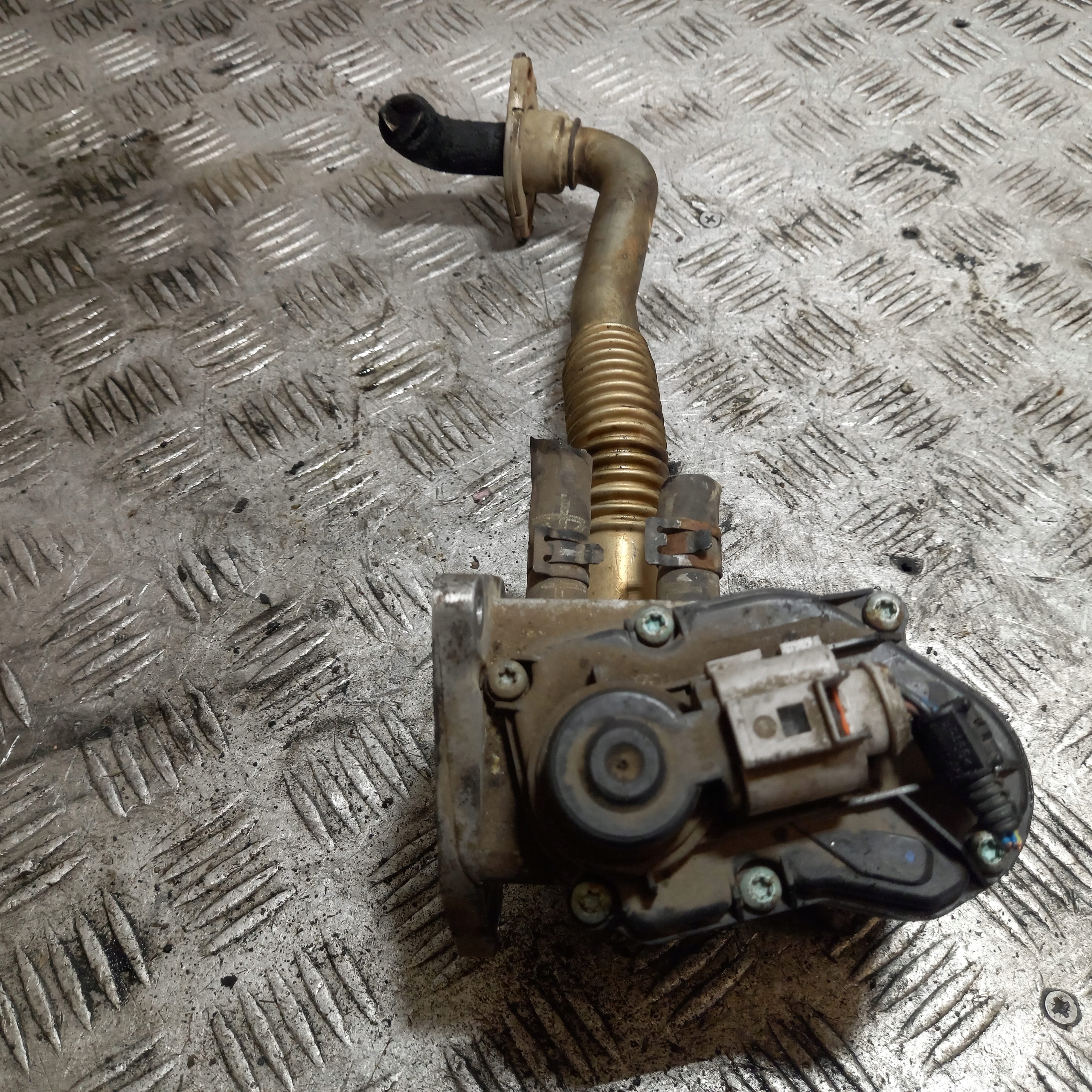 egr ventil VOLKSWAGEN GOLF 5 03C131503B