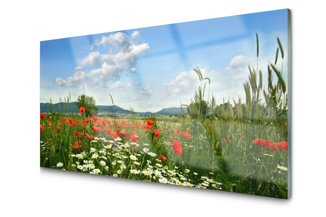

Panel szklany dekor Łąka Kwiaty 140x70 + Klej