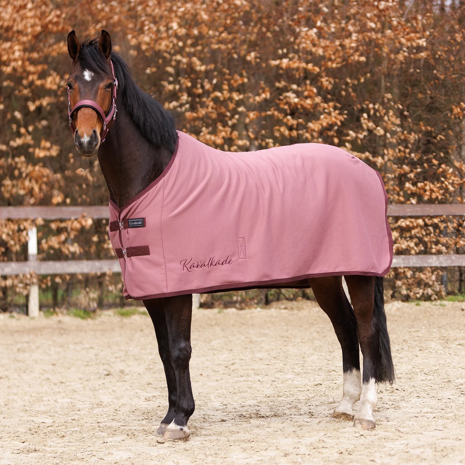 Derka dla konia osuszająca Kavalkade Graceful po treningu, różowa 145 cm