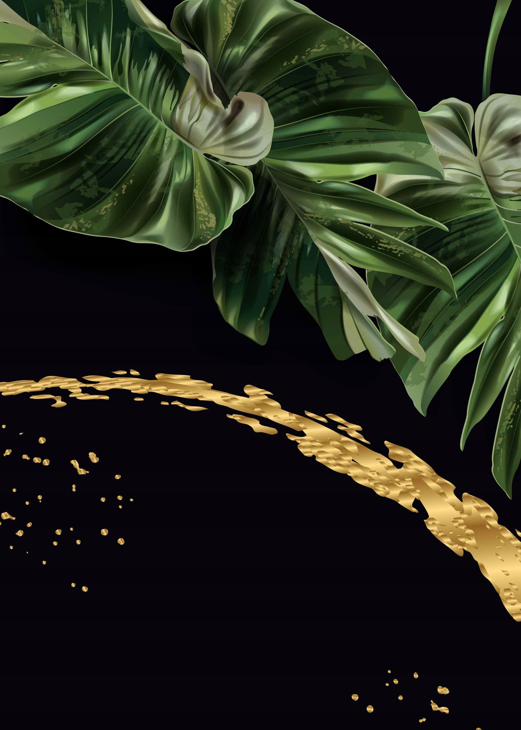 

Monstera Plakat Plakaty do ramki B2 70x50cm