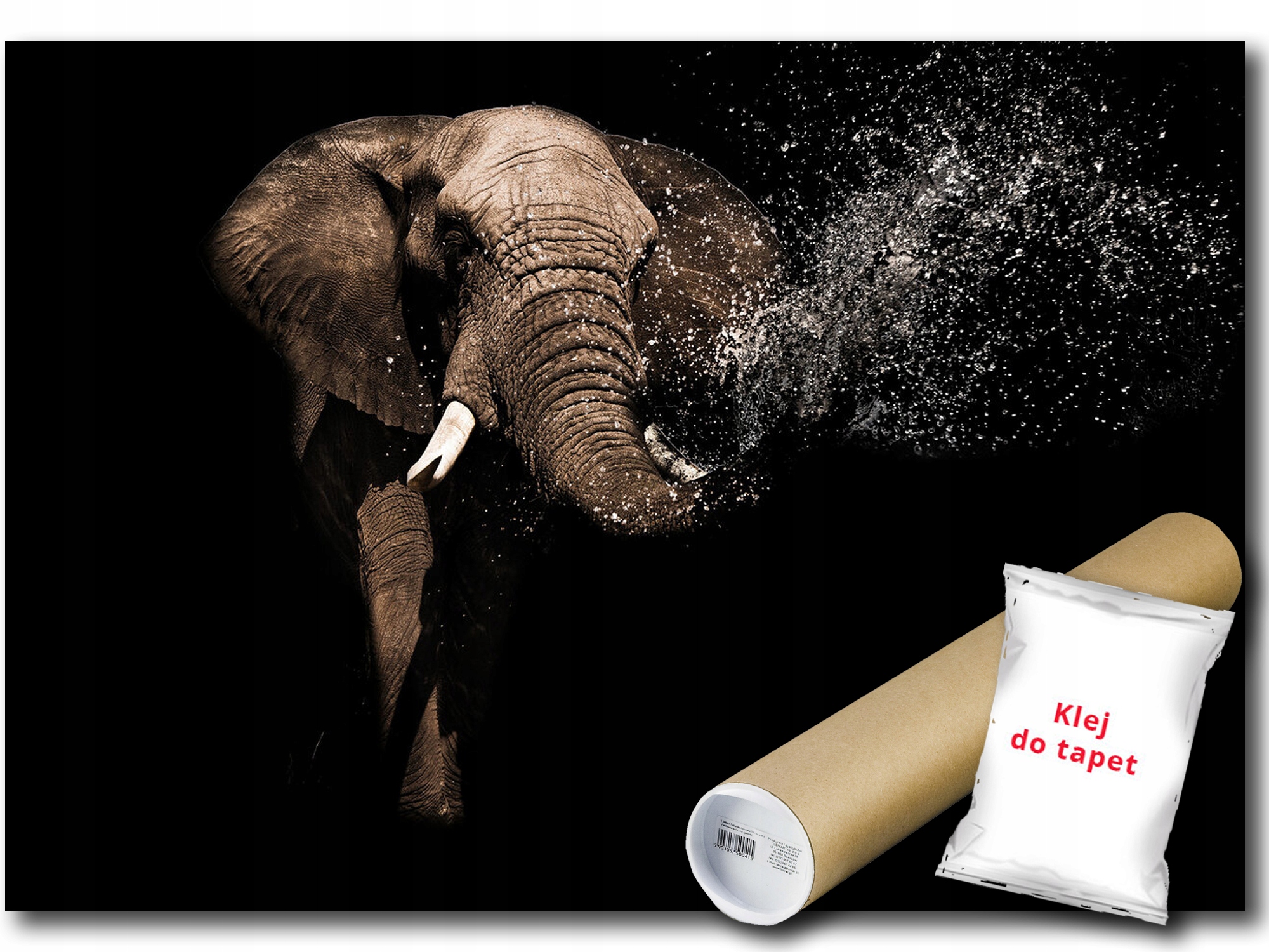 Fototapeta Vliesová Tapeta Slon Voda Zábava Příroda Fauna 312x219