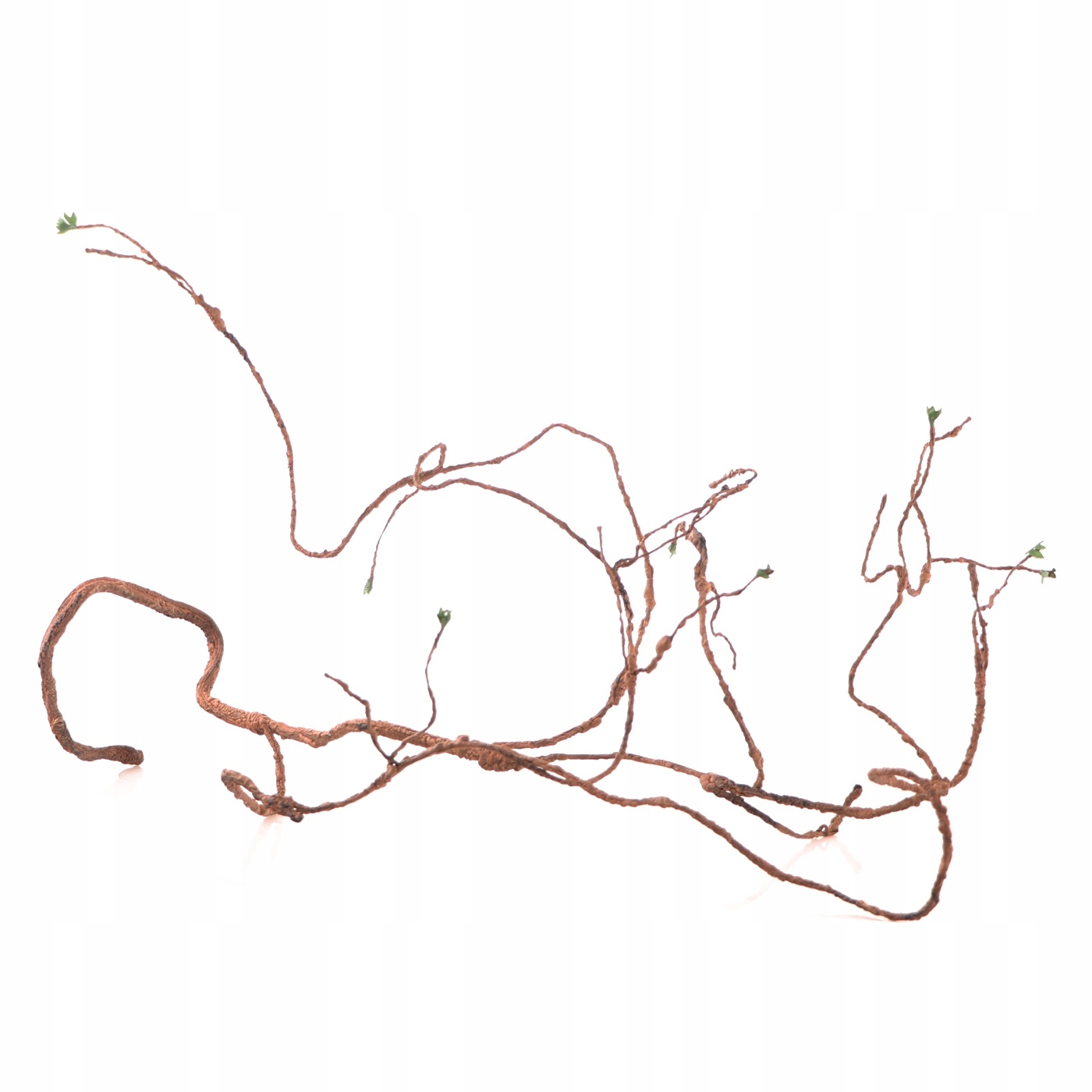 Levně Liana Do Terária 150 CM Rozvětvená, Ohnutá