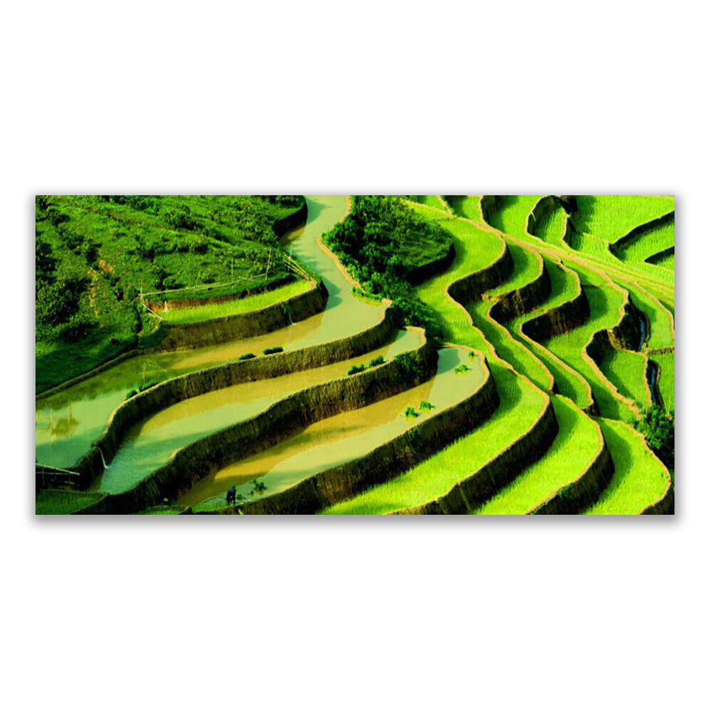 

Fotoobraz z nadrukiem 140x70 Pole Ryż Las Przyroda