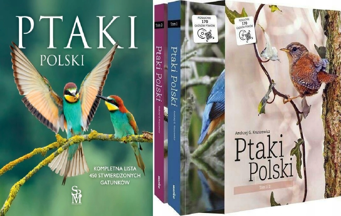 Ptaki Polski Dominik Marchowski