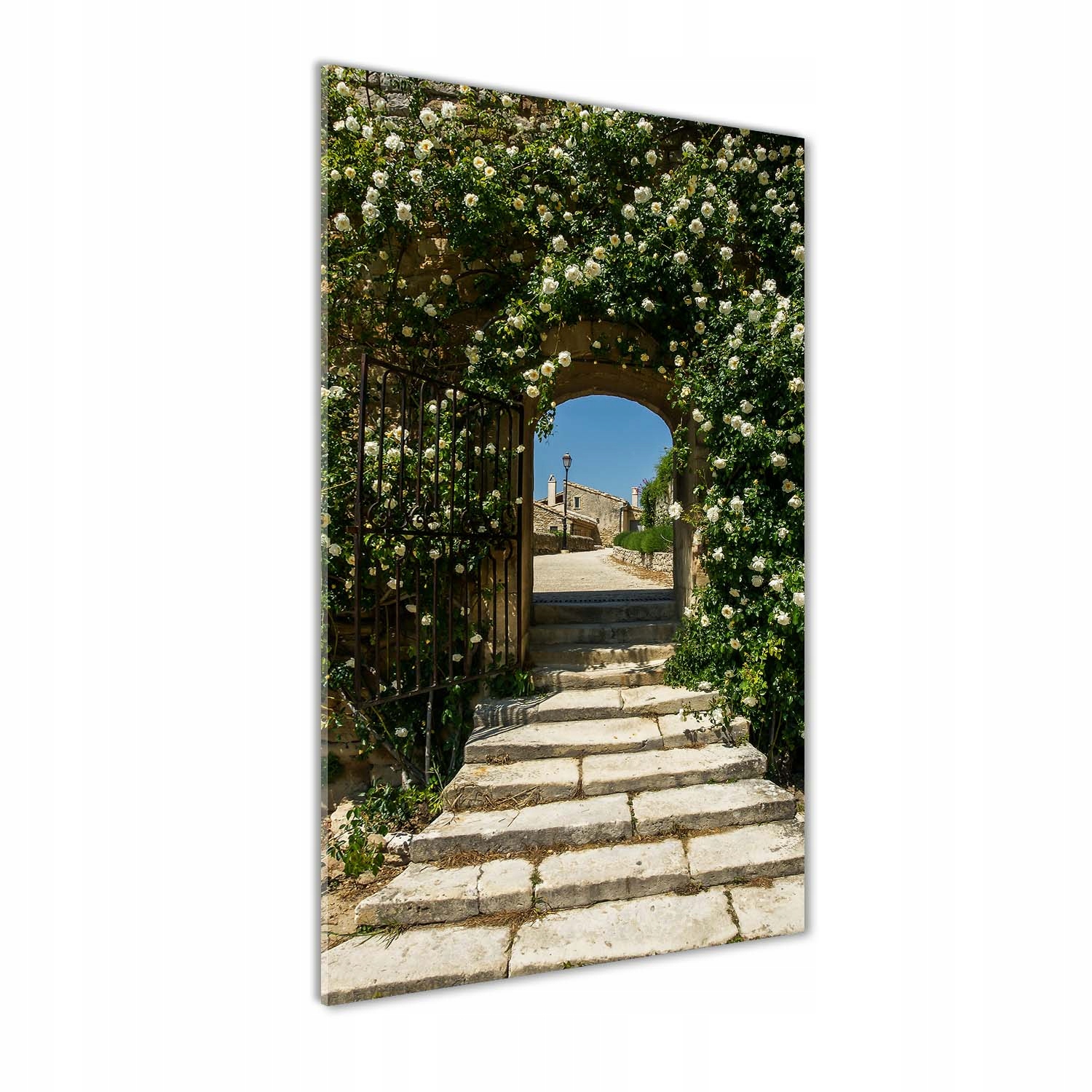 

Foto obraz szkło hartowane Kwiecisty łuk 60x120 cm