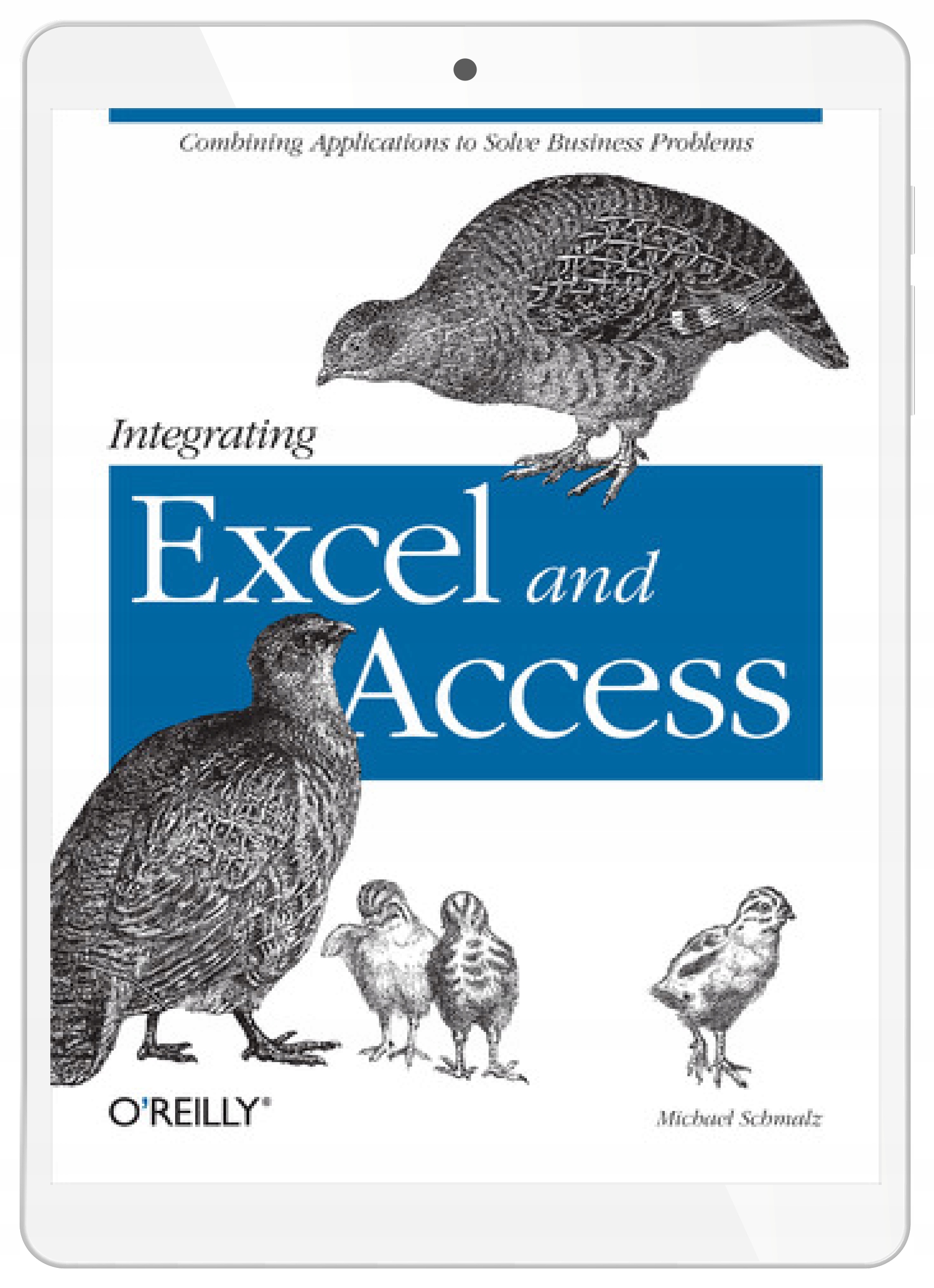 Integrating Excel and Access