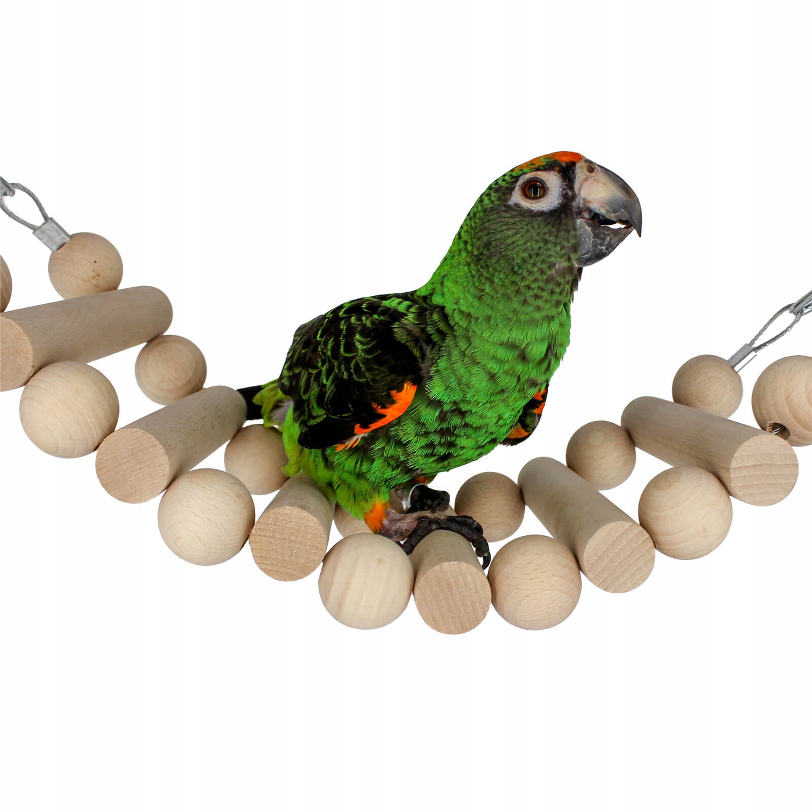 Levně Wonderful Ladder Hračka pro malé a střední papoušky můstek pro papoušky