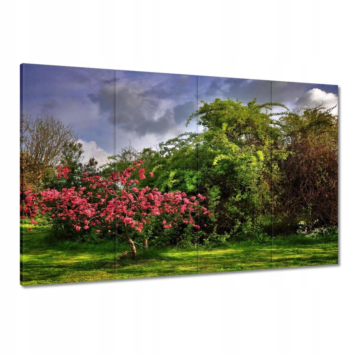 Obrazy 120x80 Krajina