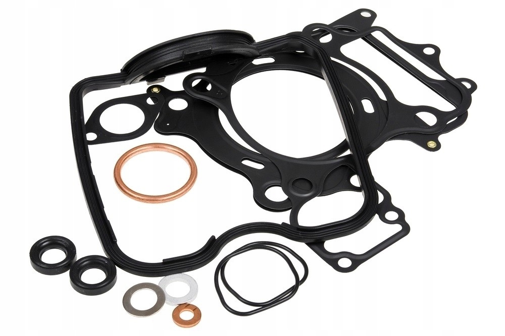 Tesnenia motora Rms 10 068 9560