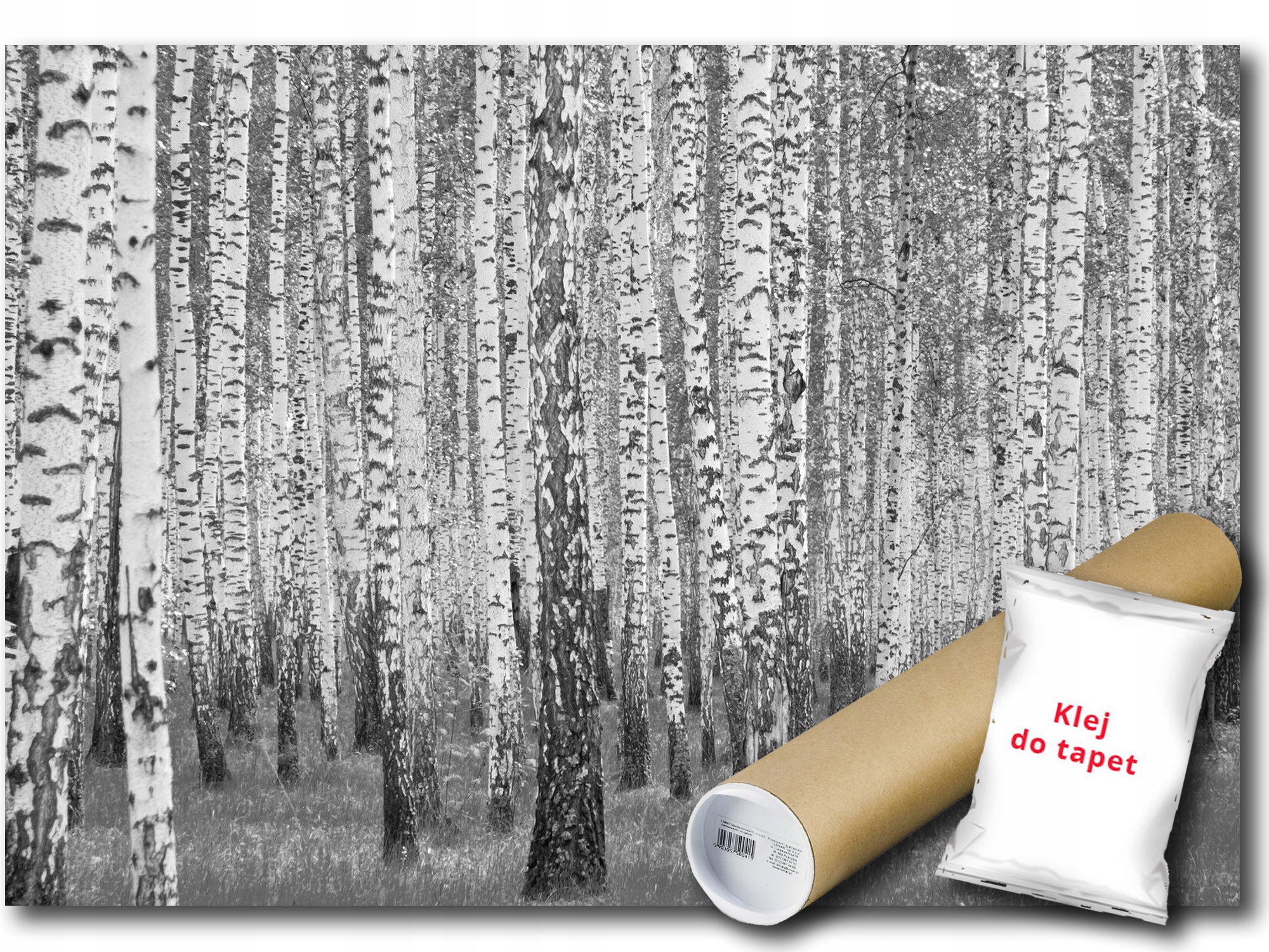 Vinylová Fototapeta Les Breza Strom 416x254