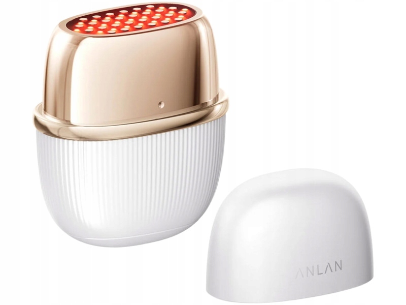 Urządzenie do pielęgnacji twarzy Anlan 01-ADRY51-02A Rf