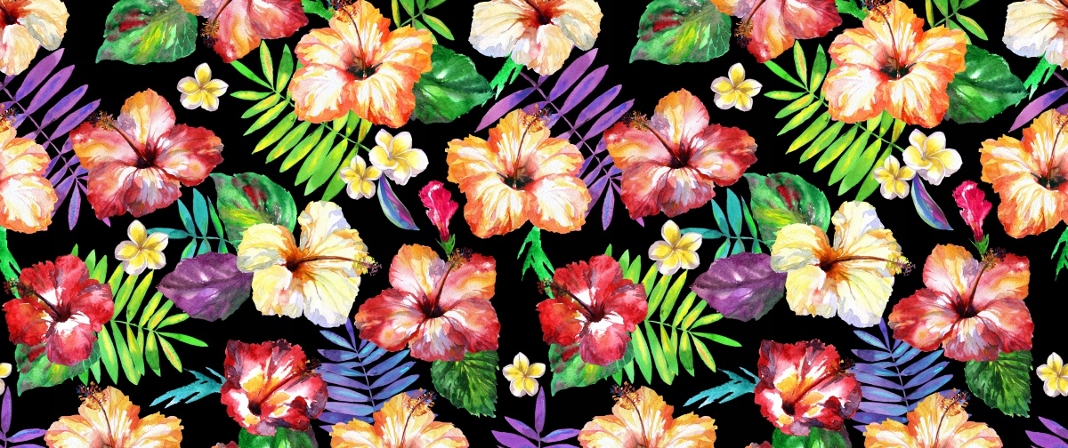 

Fototapeta Flizelinowa Kwiaty Hibiskus 250x104