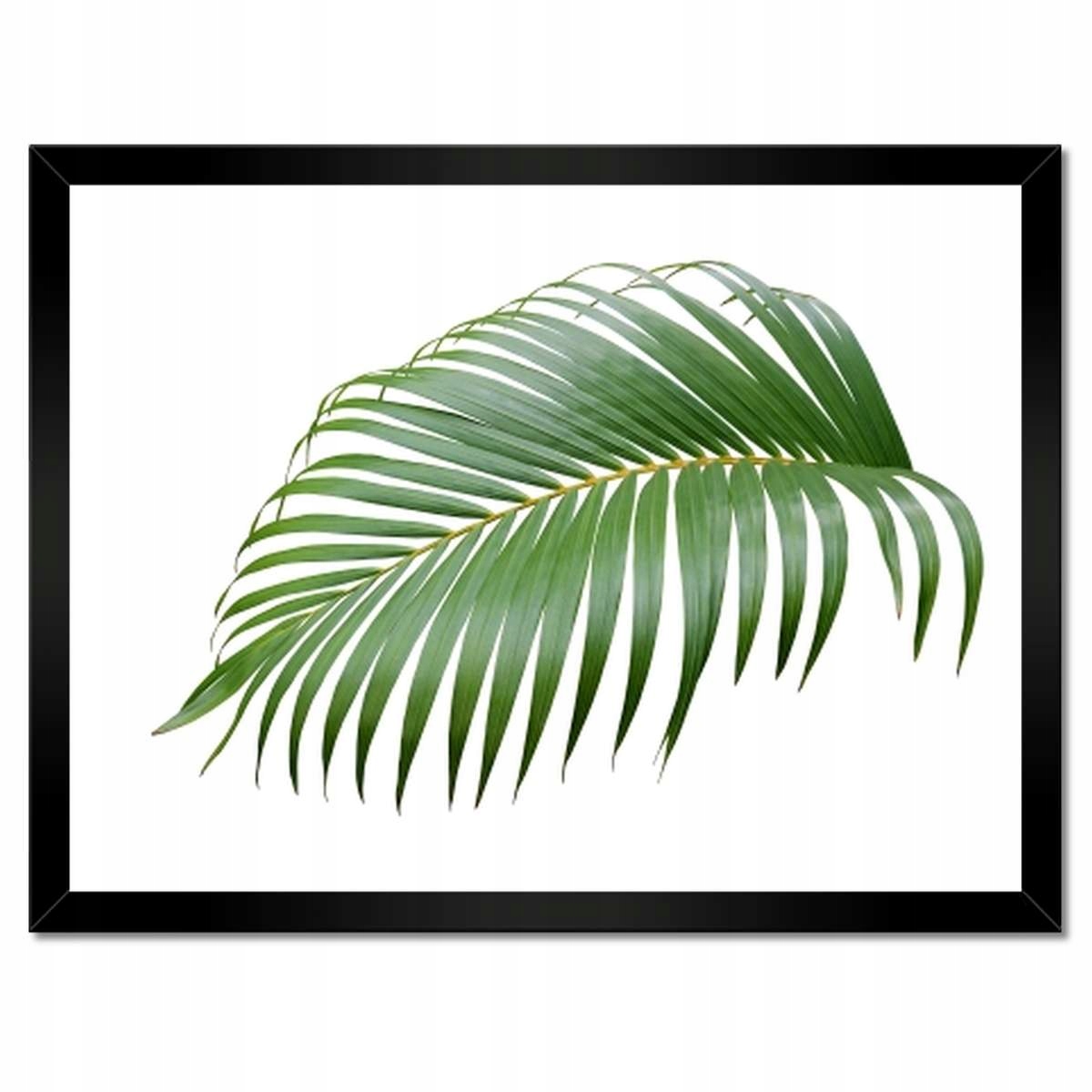 Plakáty v rámu 40x30 Zelený list Minimalismus