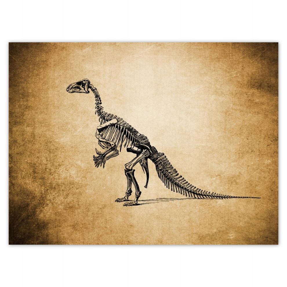 

Plakat 40x30 Dinozaur Prehistoria Dino