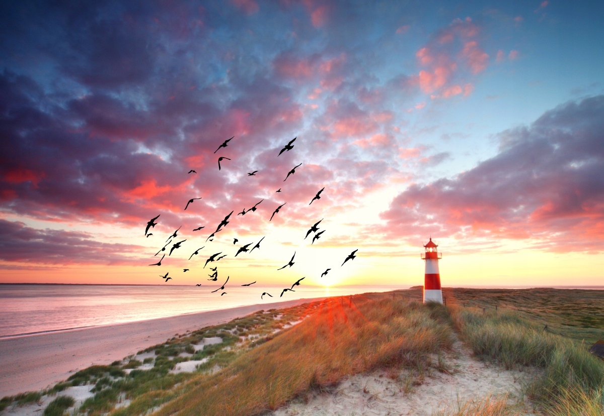 

Tapeta Flizelinowa Latarnia morska Sylt 152x104