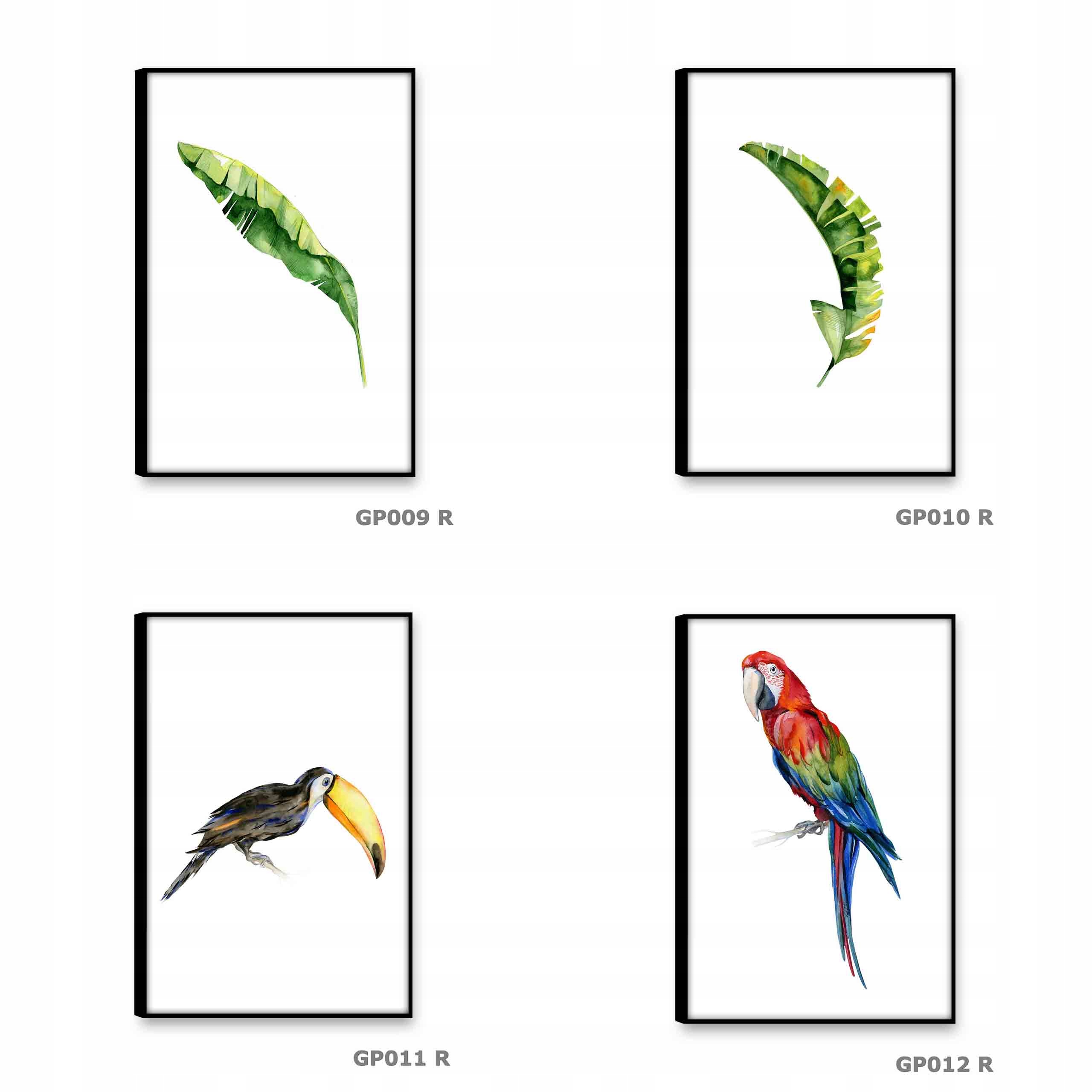 LIŚĆ PALMY Obrazy na płótnie 30x45 Obraz rośliny Wysokość produktu 45 cm