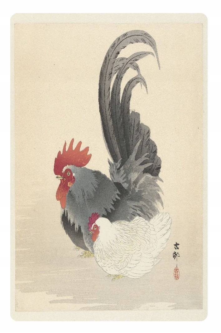 

Magnes na lodówkę kogut koguty kura kurki