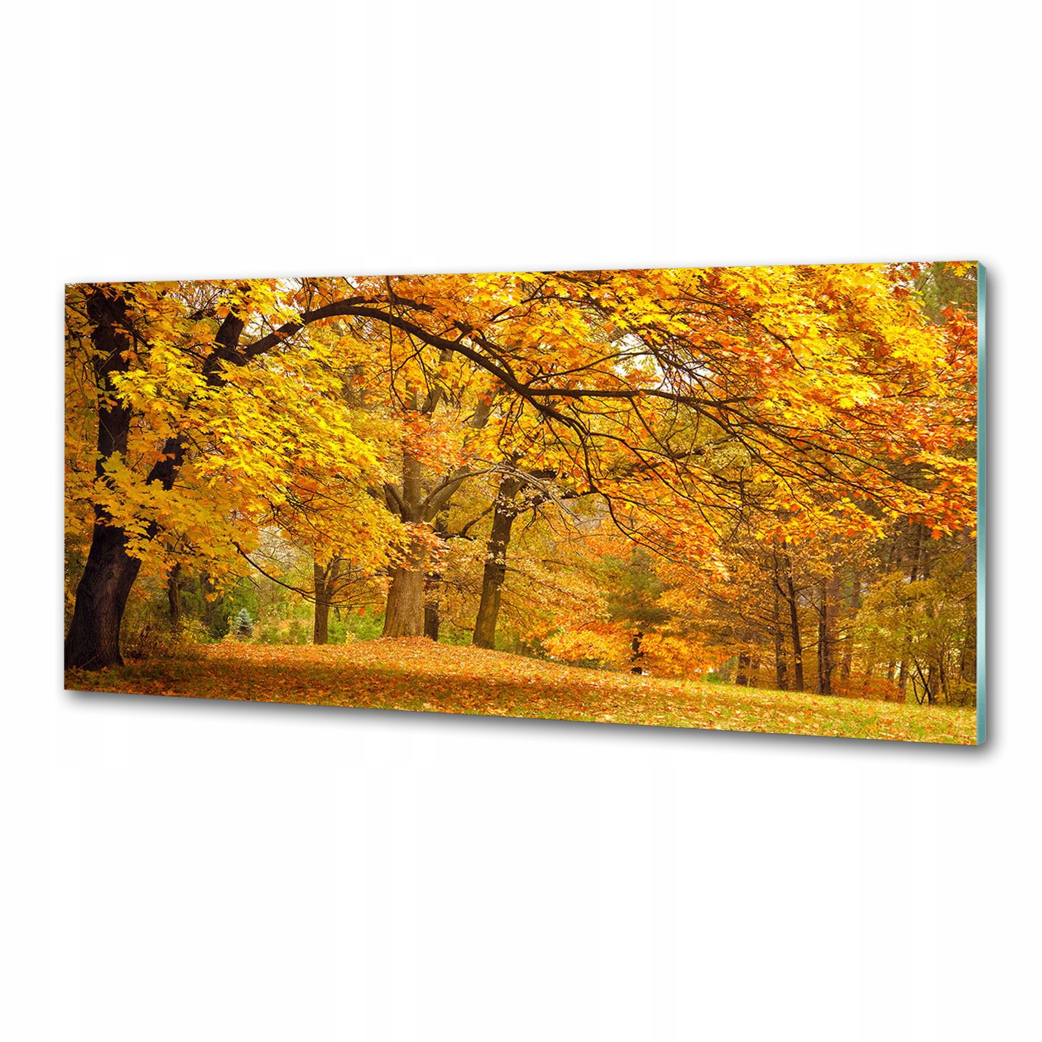 Panel do kuchyně Podzim v parku 125 x 50 cm Lepidlo