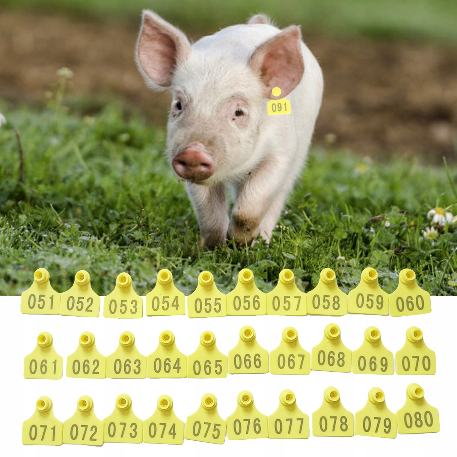 KOLCZYKI DLA TRZODY CHLEWNEJ ŚWIŃ 100 SZT Stan opakowania oryginalne