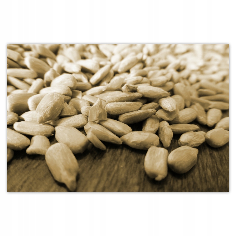 

Plakaty 93x62 Słonecznik łuskany