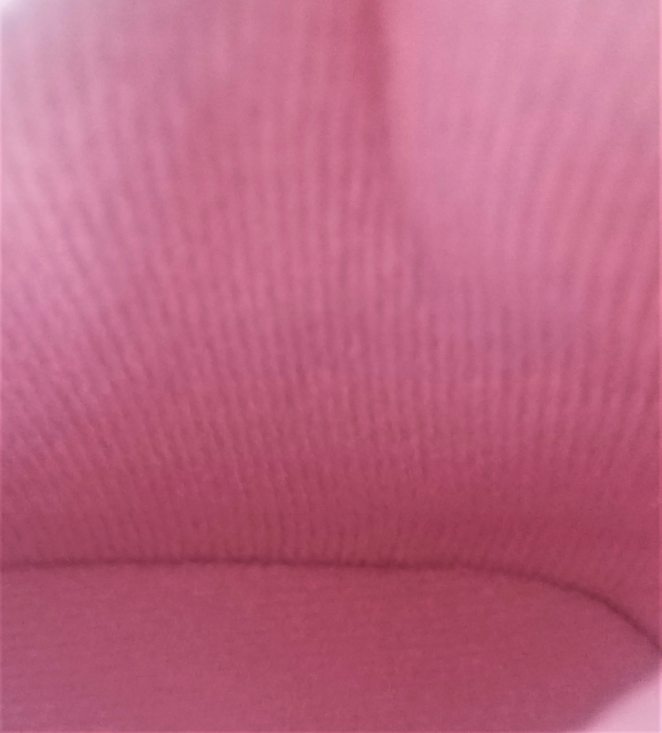 KOZAKI botki lekko ocieplane zamek różowe R-25-14,5cm Kolor różowy