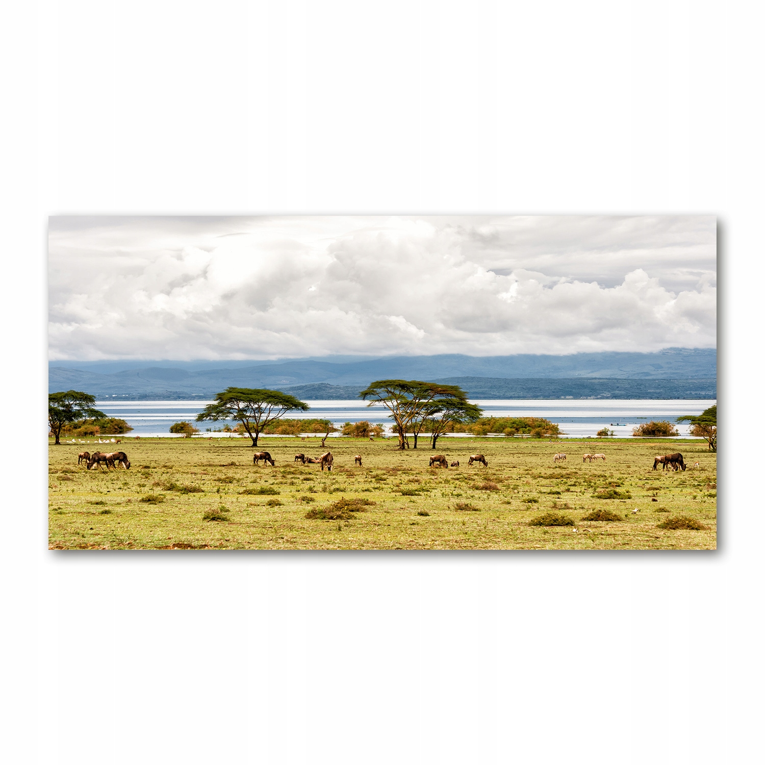 Skleněný obraz Jezero Naivasha 140x70