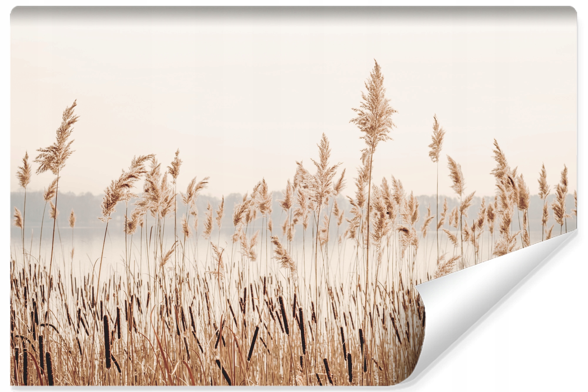 Fototapeta do ložnice Krajina Jezero Třtiny Tráva Příroda Boho 450x300