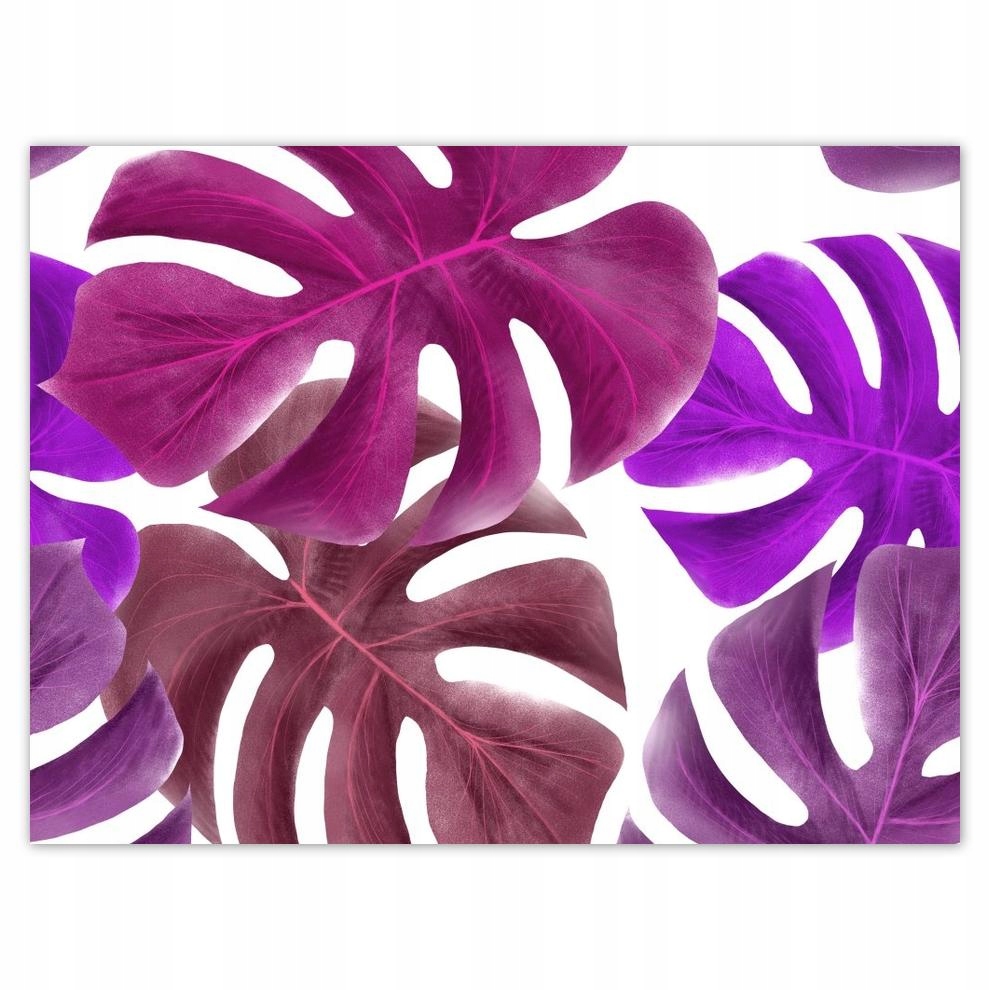 

Plakat 40x30 Monstera Liście Fiolet