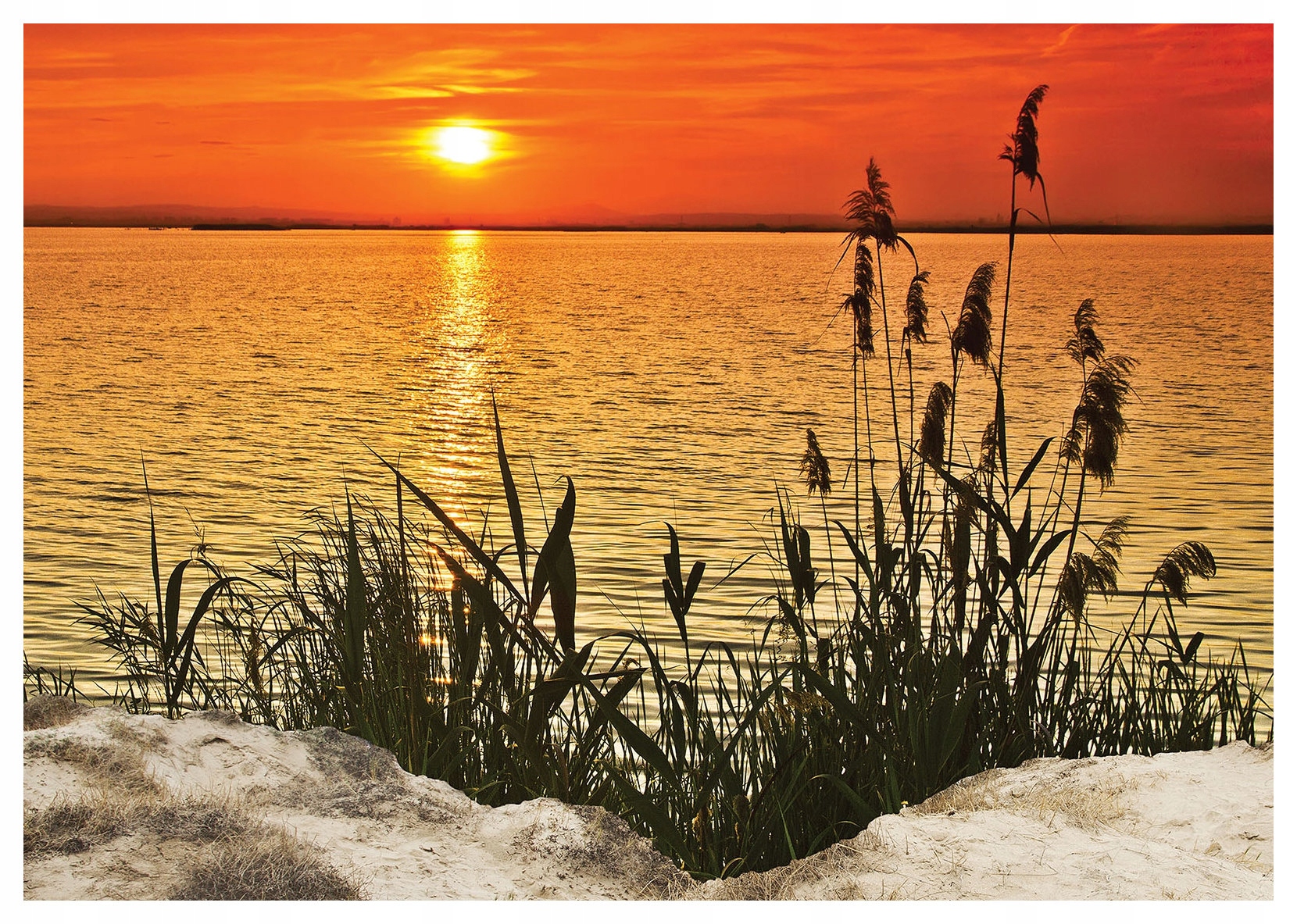 Fototapeta Západ slunce Jezero Zlaté odlesky Tráva 200x140 lepidlo