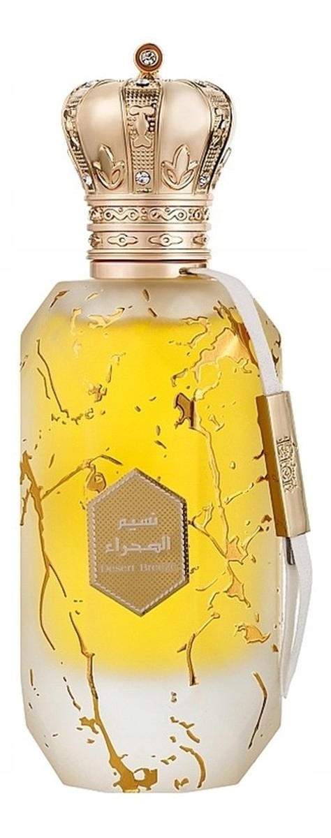 Armaf Eter Desert Breeze parfémovaná voda sprej 100 ml