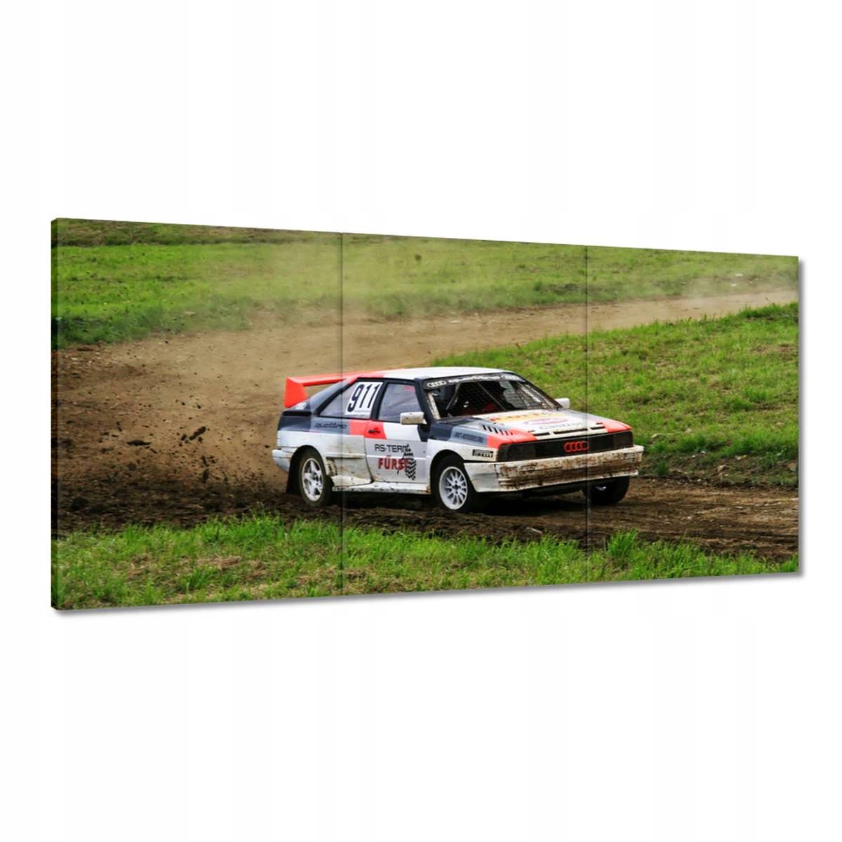 Obrazy 180x90 Audi Quattro v teréne